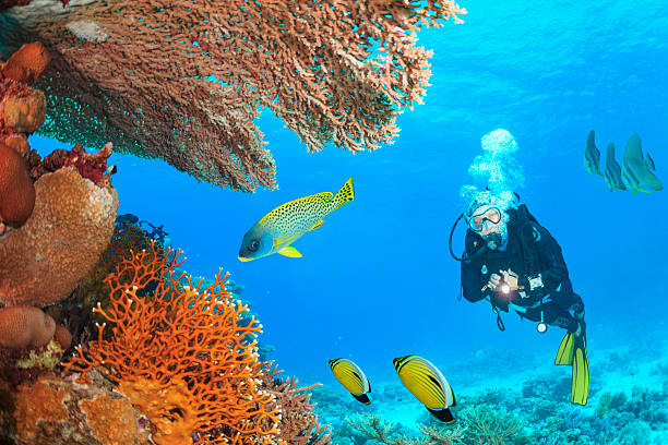 Marsa Alam